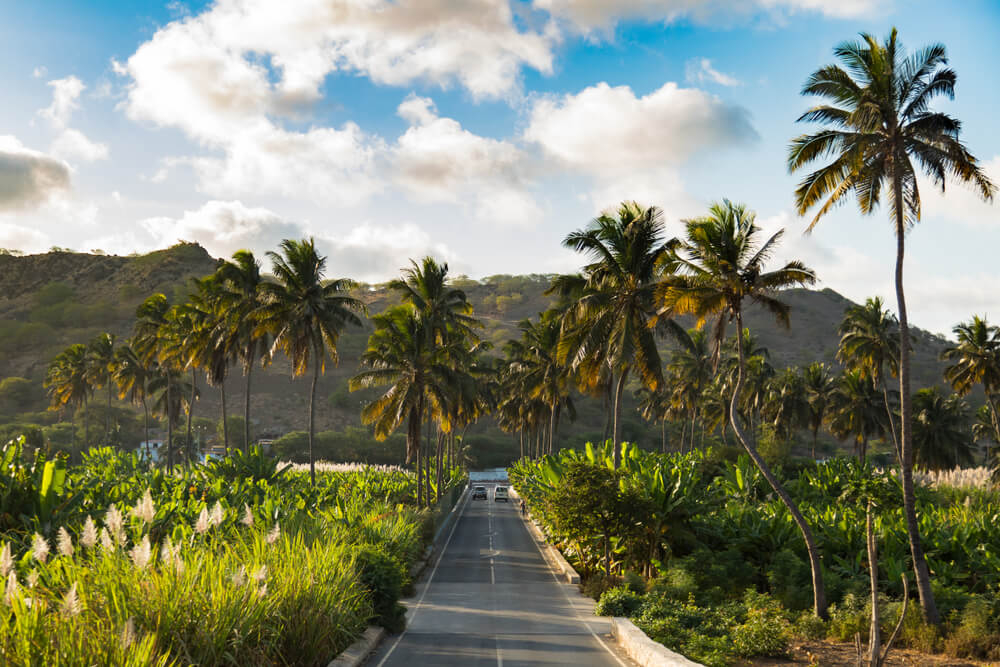 Kapverdische Inseln: tiefgrüne Plantagen auf der Insel São Tiago.