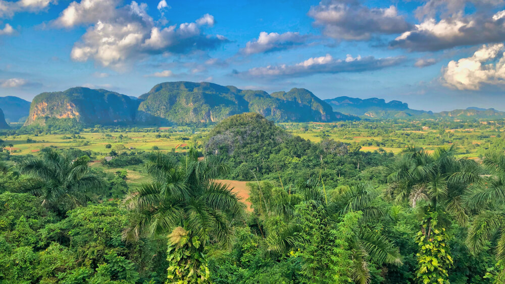 Kaffee aus Kuba: Plantagen in der Region Viñales.