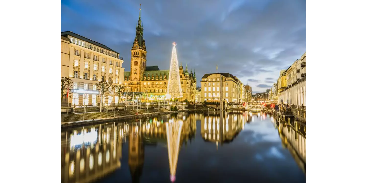 Kurztrip im Dezember: Hamburger Rathaus mit Weihnachtsbaum und Weihnachtsbeleuchtung.