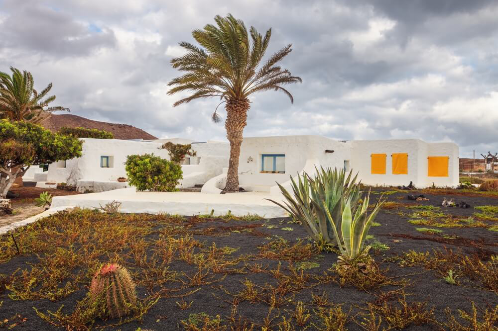 Die weißen Häuser von Pedro Barba mit typischer Vegetation der Insel.