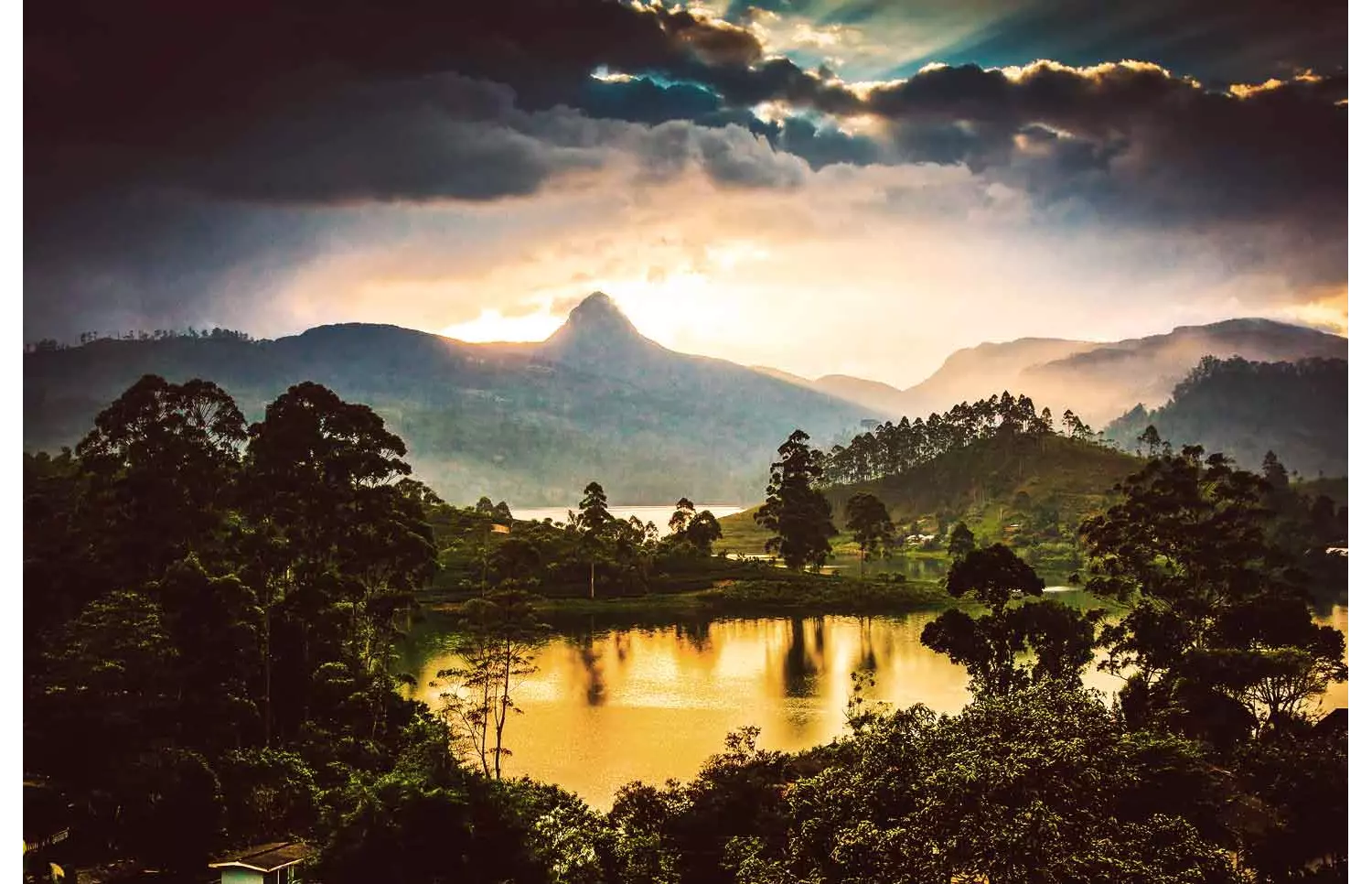 Dschungel-Abenteuer in Sri Lanka: eines der besten Länder für Safaris