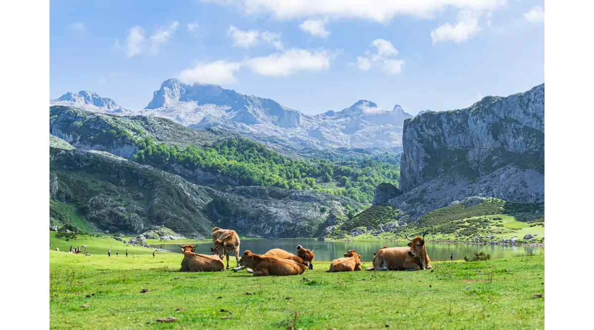 Parques Nacionales de España: 10 joyas del turismo rural