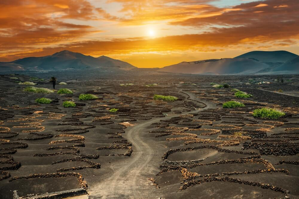 La Geria: Sun setting over the volcanic landscape and vineyards of La Geria