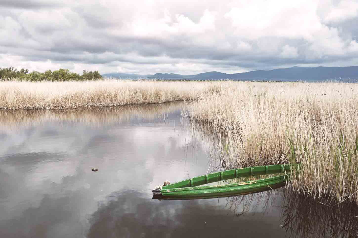 Las Tablas de Daimiel