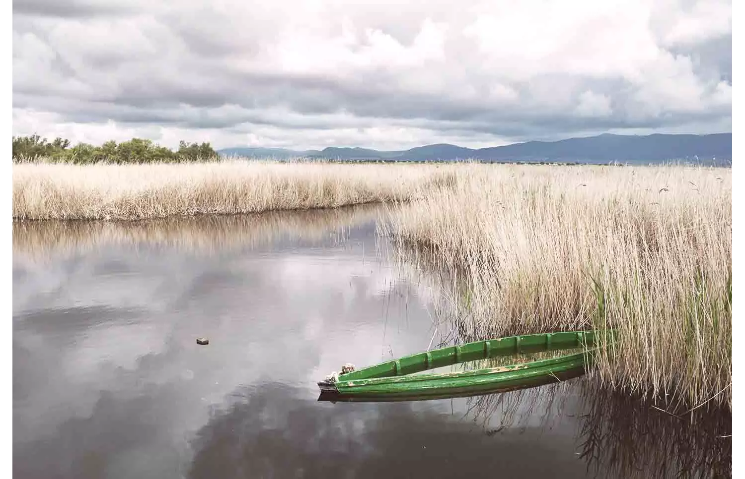 Las Tablas de Daimiel
