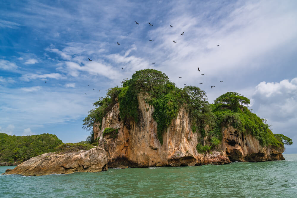 Birds soar over a mogote at Los Haitises.