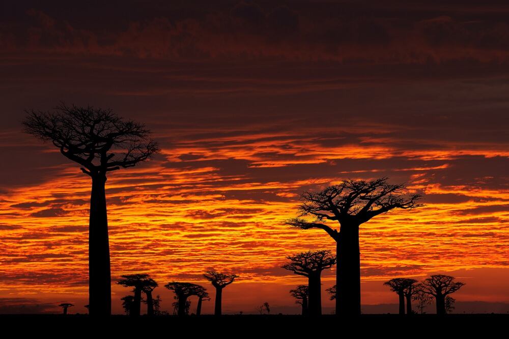 los mejores atardeceres del mundo