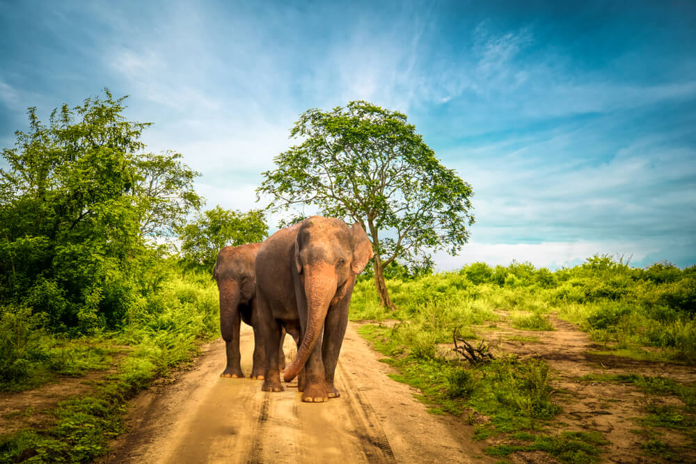 lugares de ecoturismo en el mundo 