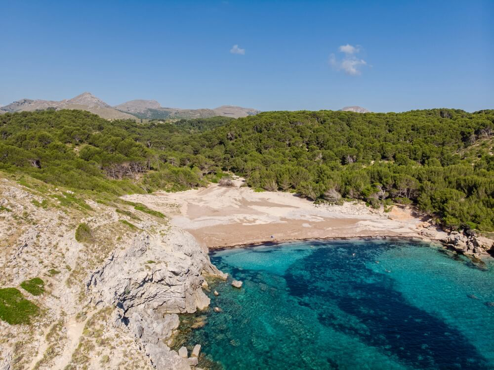 Die einsame Bucht Cala Matzoc auf Mallorca von dichtem Pinienwald umgeben.