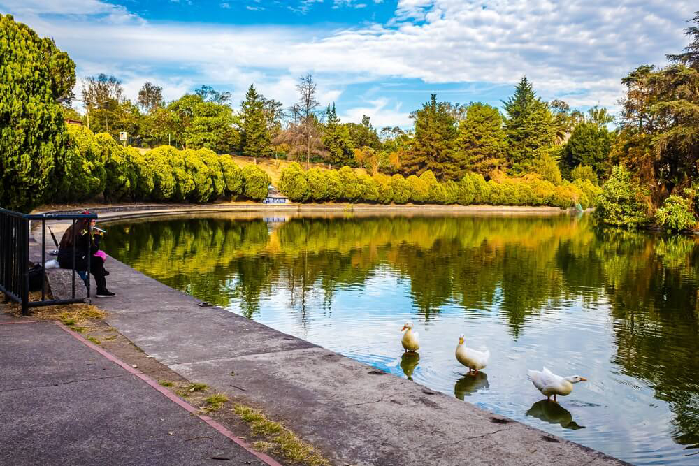 mejores parques urbanos del mundo 