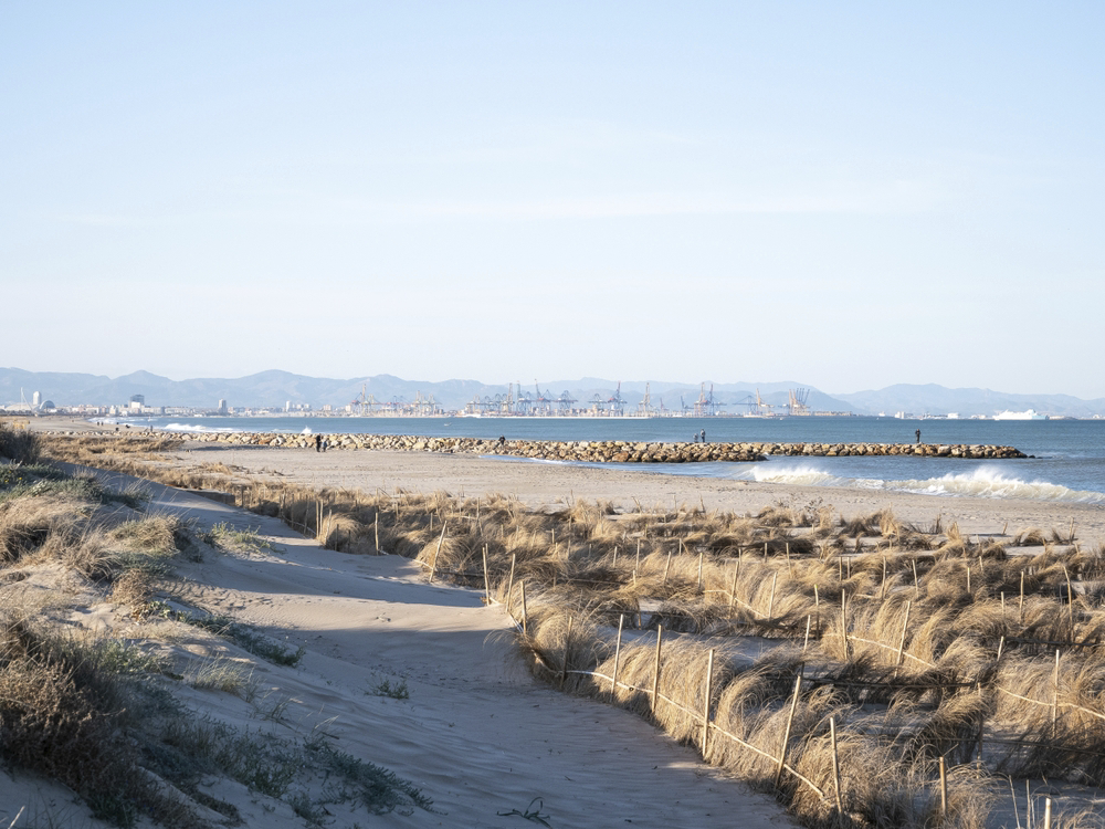 Tavernes de Valldigna beach dunes in Valencia of Spain