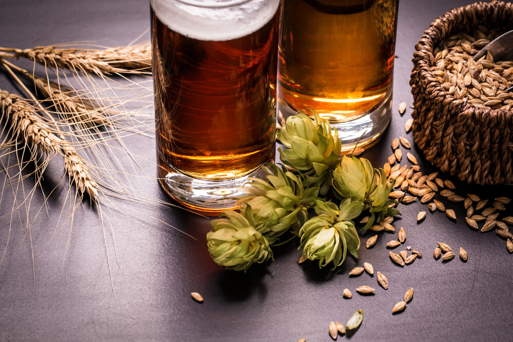 cerveza mejor del mundo