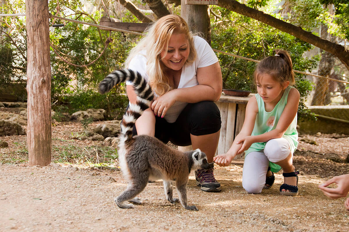 Menorca mit Kindern: Mädchen mit einem Lemuren im Streichelzoo Lloc de Menorca.