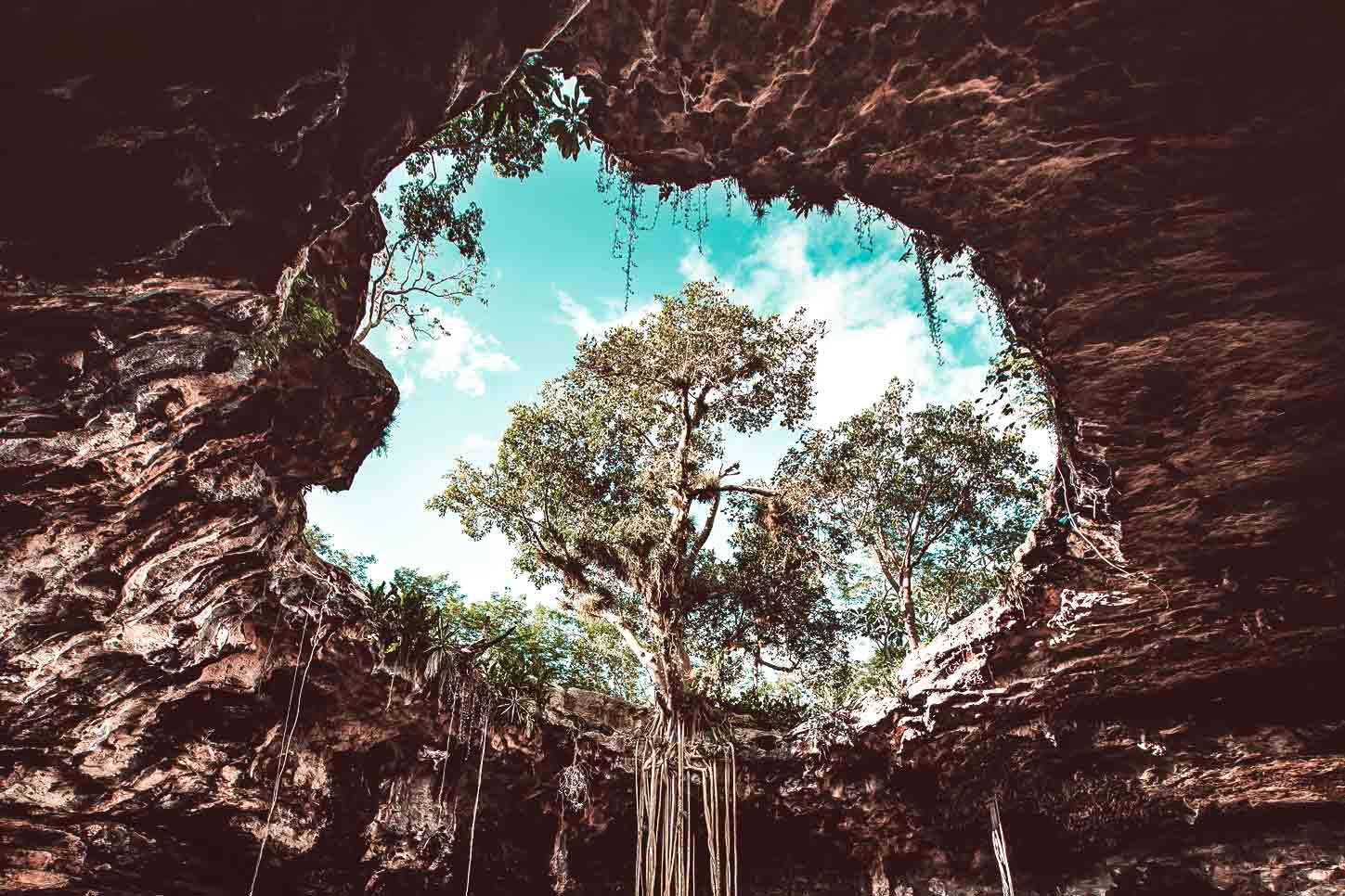 Viaggio verde Messico alla scoperta di angoli reconditi e ricchi di vegetazione