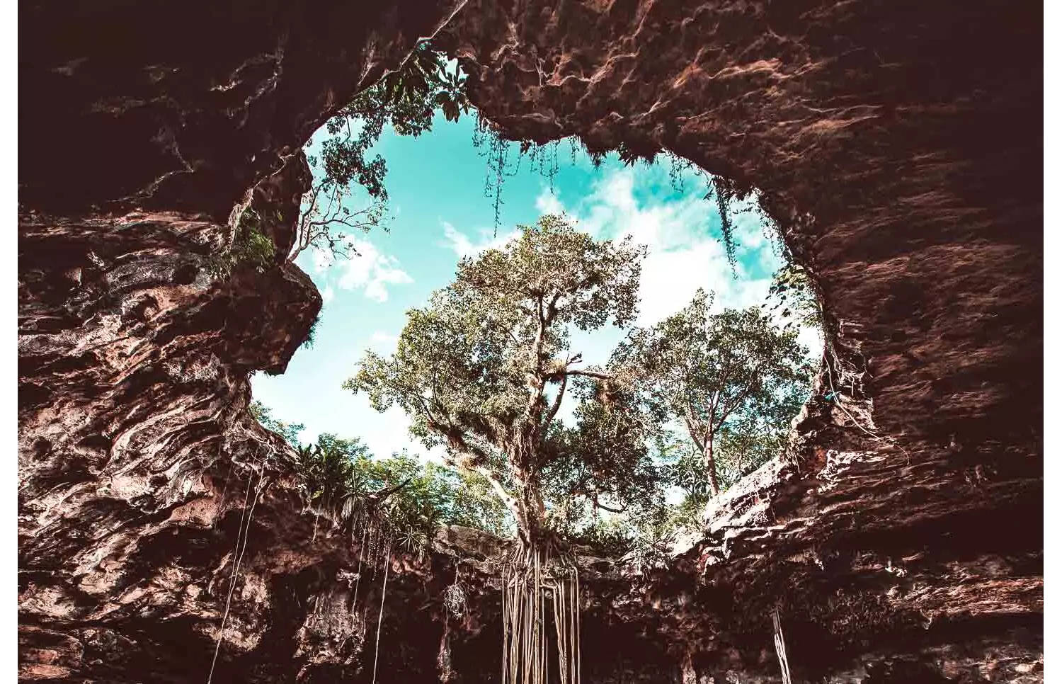 Viaggio verde Messico alla scoperta di angoli reconditi e ricchi di vegetazione
