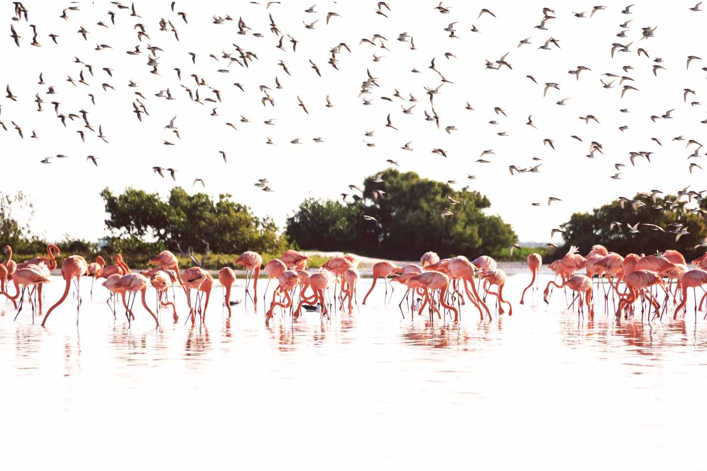 Turismo responsabile Messico, alla scoperta dell'altro volto del paese caraibico