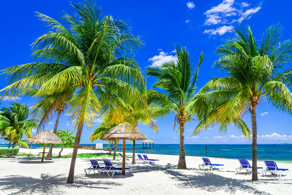 Mexican Christmas traditions: Palm-tree-covered white sand beach with loungers in Cancun
