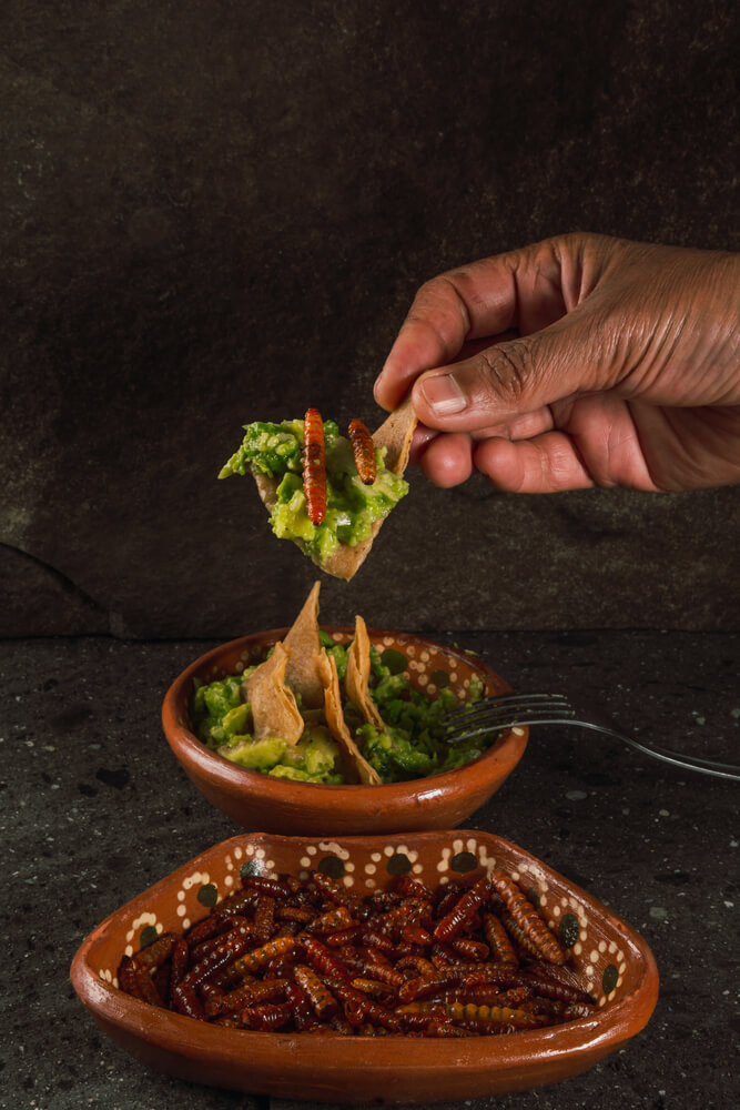 Typisch mexikanisches Essen: Agavenwürmer (gusanos de maguey).