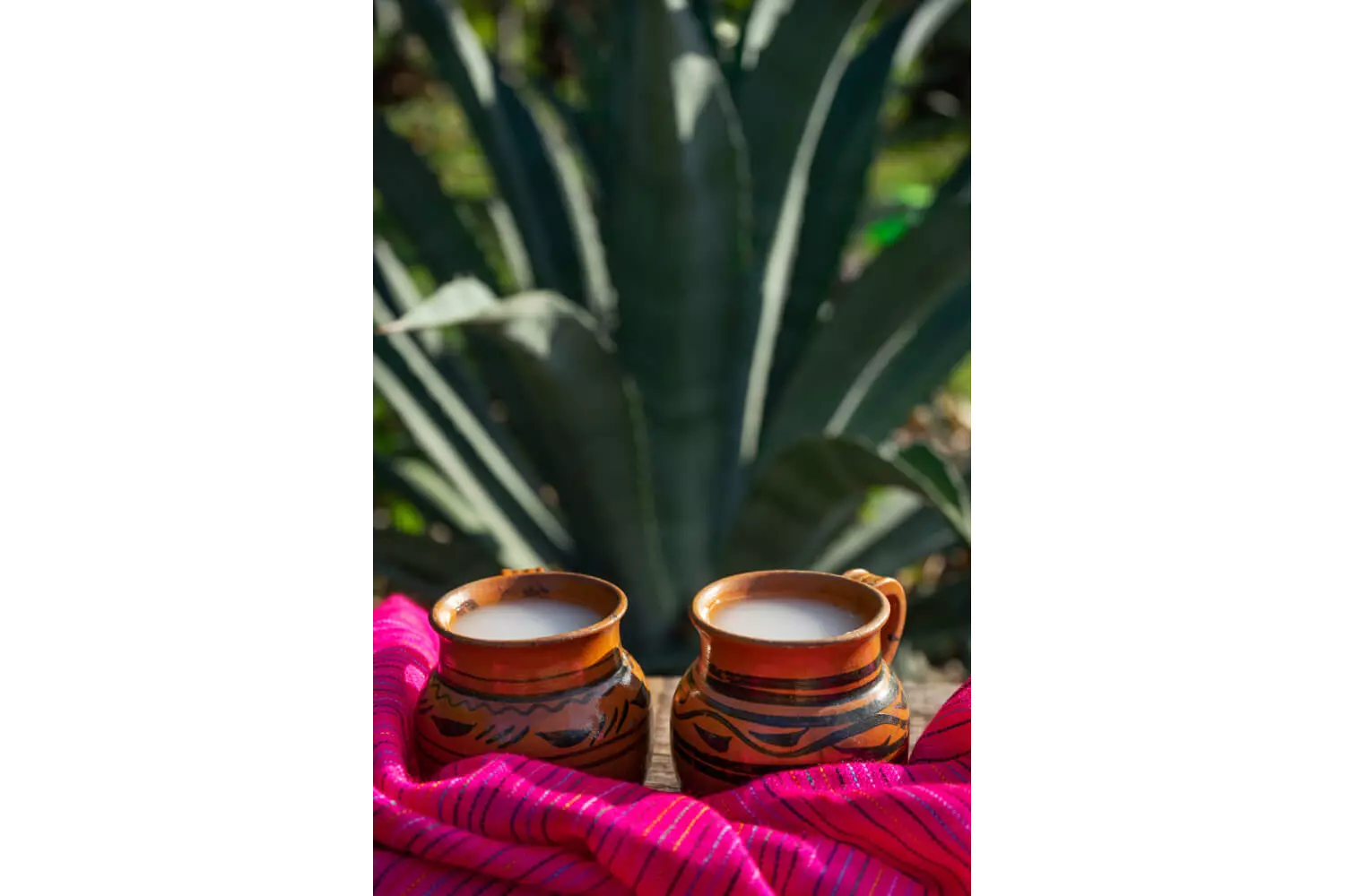Mexikanische Küche: Schalen mit dem Nationalgetränk Pulque.