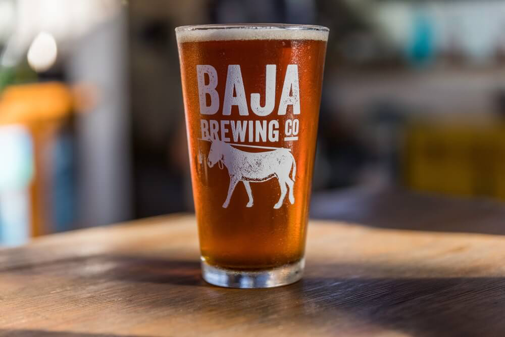 Mexikanisches Bier: ein Amber Ale der Craft-Brauerei Baja Brewing aus Baja California Sur.