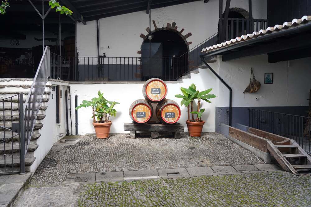 mejores museos de funchal