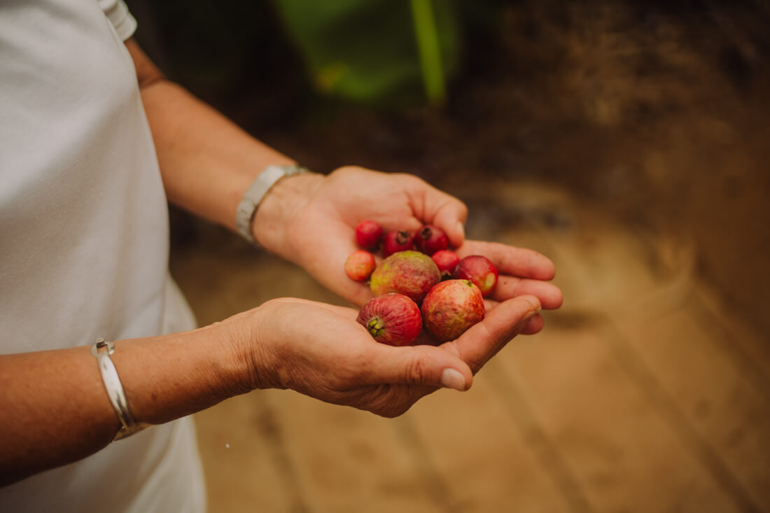 muy de aqui muy nuestro produtos km o