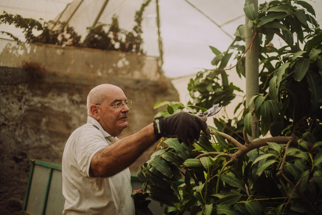muy de aqui muy nuestro produtos km o
