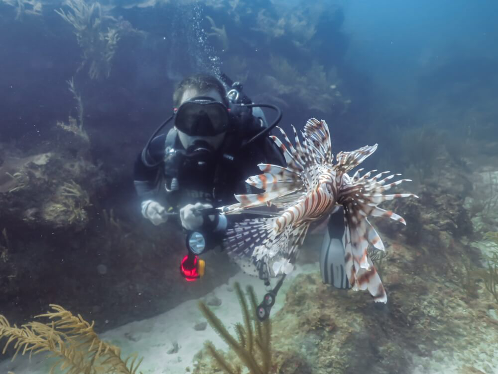 Taucher mit einem Drachenkopf im Nationalpark Arrecife de Xaclak in Mexiko