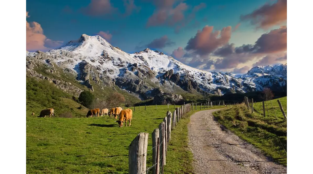green-spain