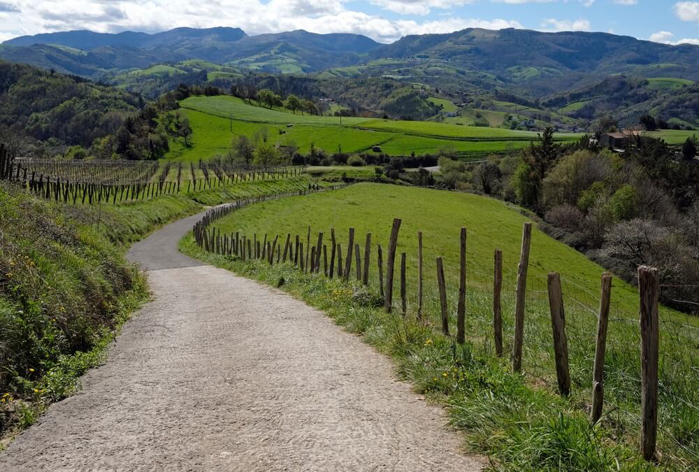 Northern Spain holidays: Green rolling Galician countryside with the Camino de Santiago path