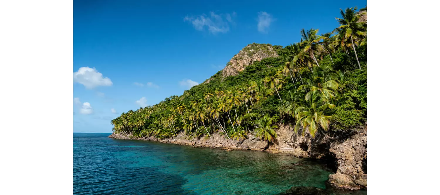 Isla Providencia: einer der besten Tauchplätze der Welt