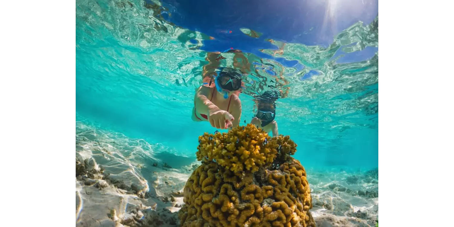 Die Malediven sind mit ihrem seichten Wasser einer der besten Orte zum Schnorcheln weltweit.