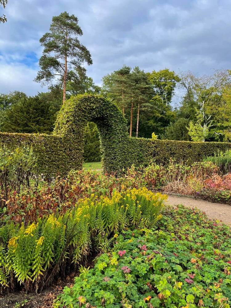 Üppige Pflanzenpracht im Altonaer Volkspark, einem der vielfältigsten Parks in Hamburg.