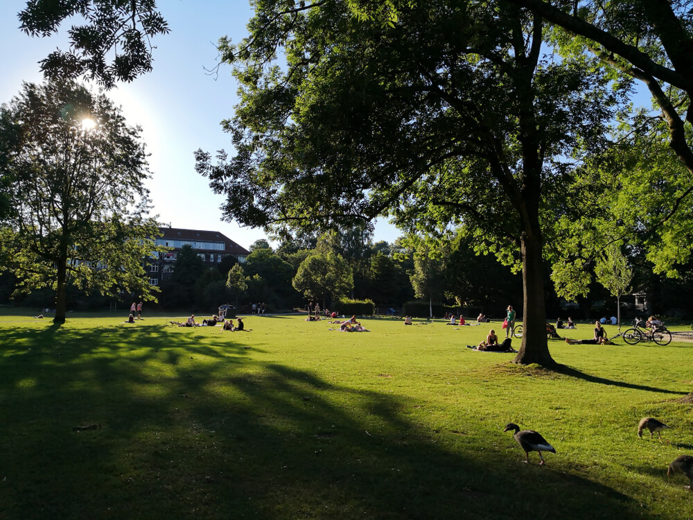Eine Wiese mit sich sonnenden Menschen und Enten im Hayns Park.