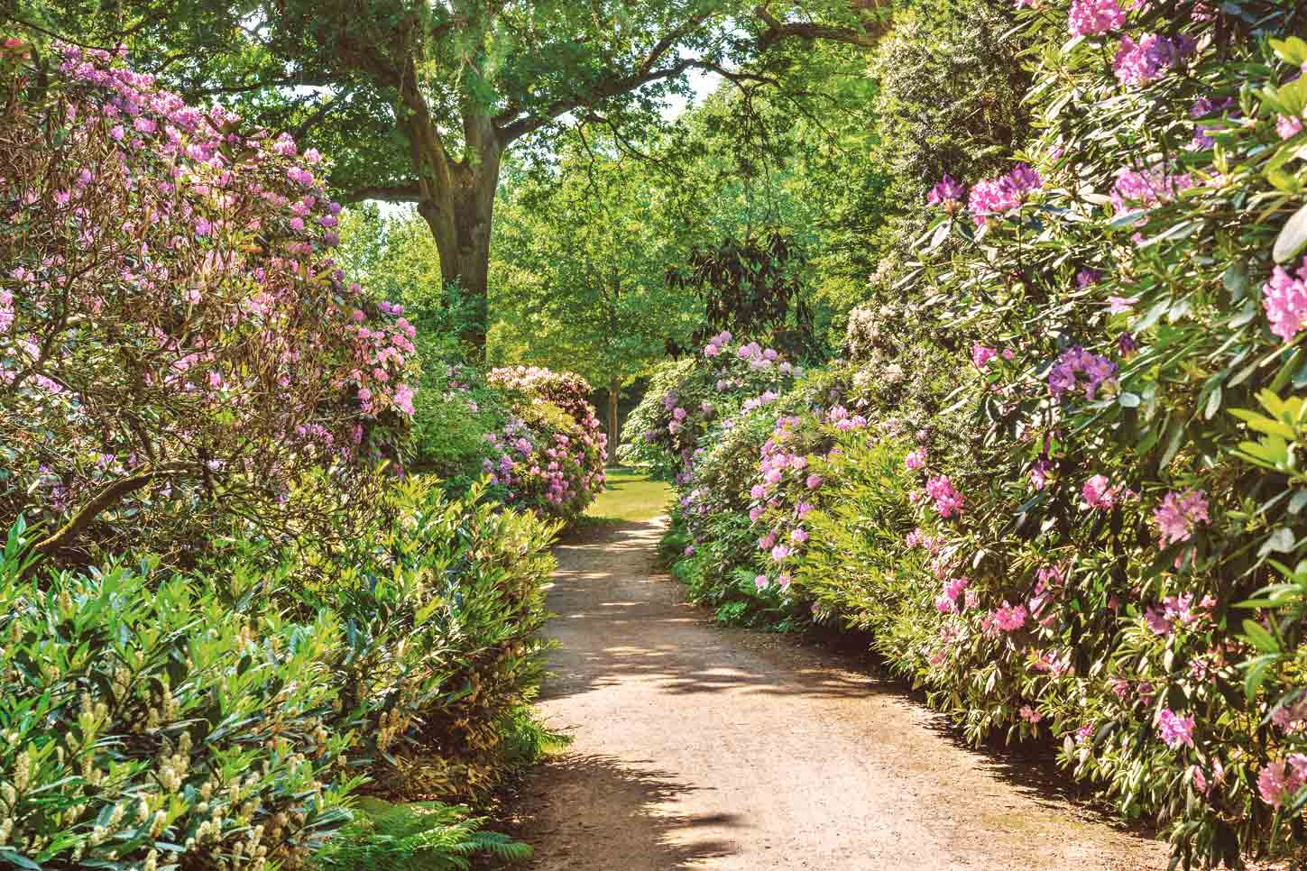 Der Stadtpark Hamburg ist einer der beliebtesten Parks der Stadt.