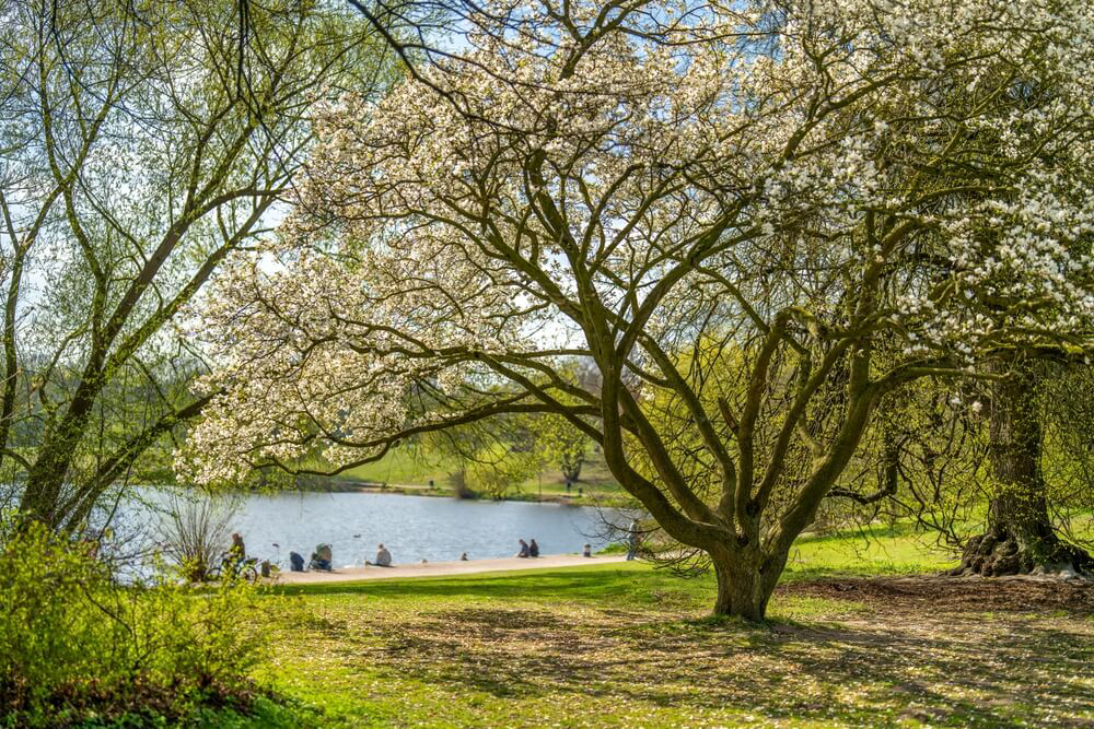 Seeufer mit Menschen im Hamburger Stadtpark, einem der beliebtesten und größten Parks in Hamburg.