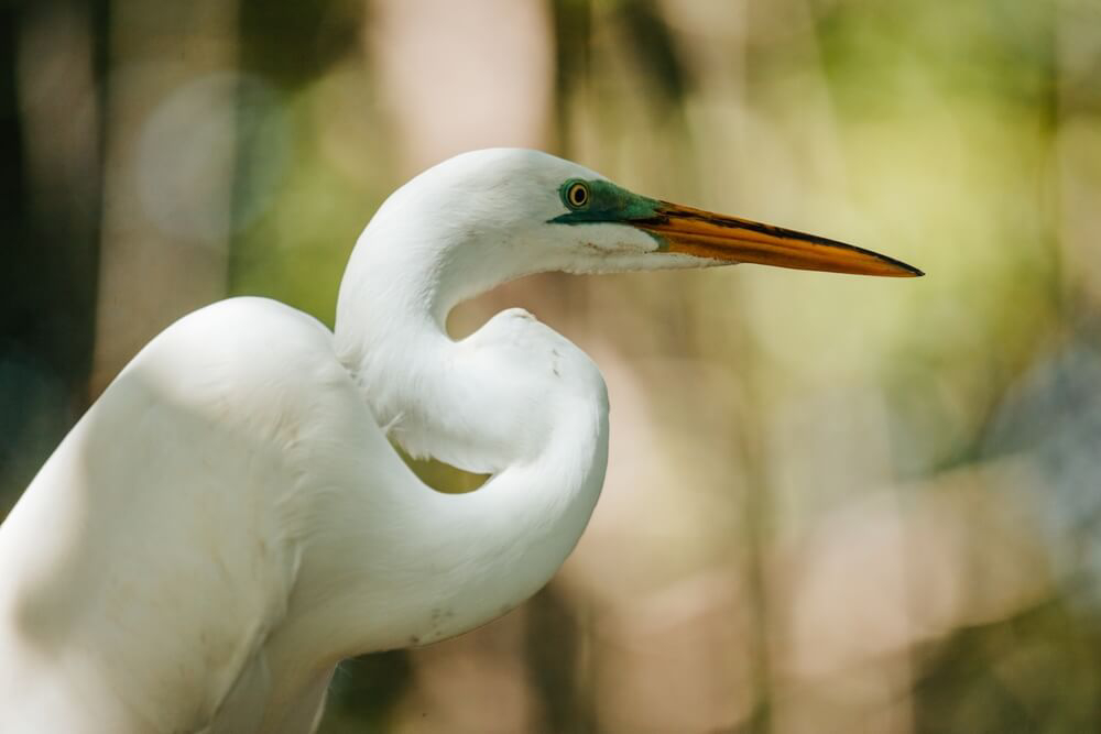 Parque Nacional de Los Haitises
