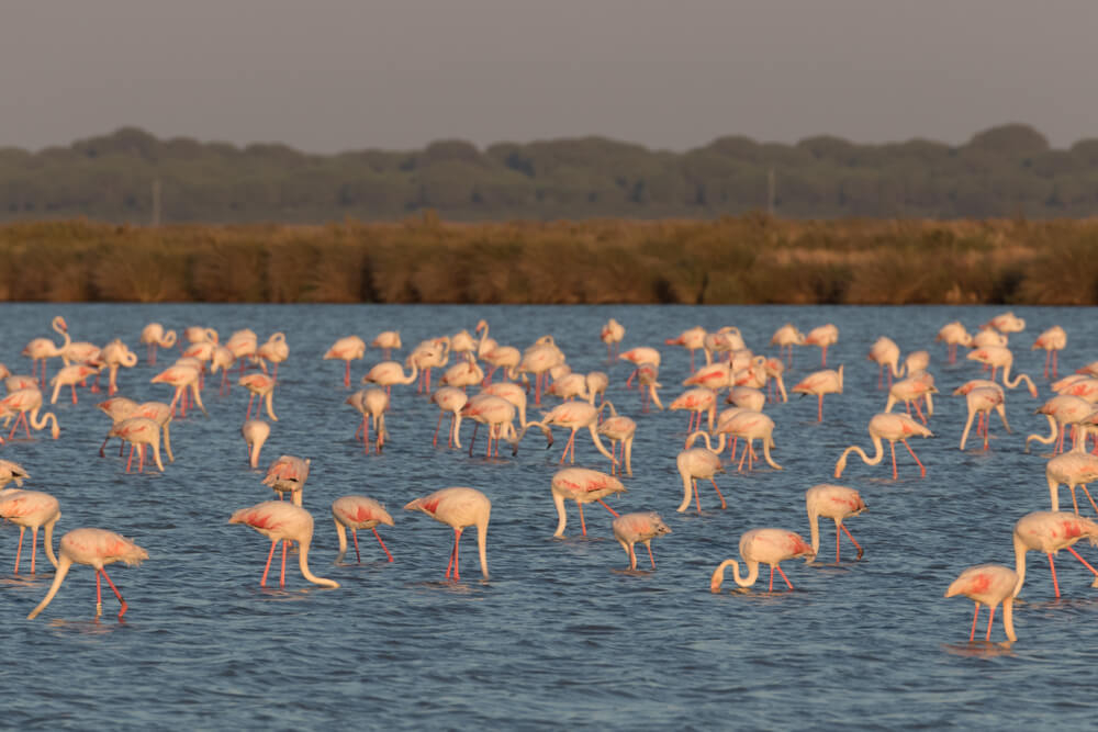parques nacionales de españa