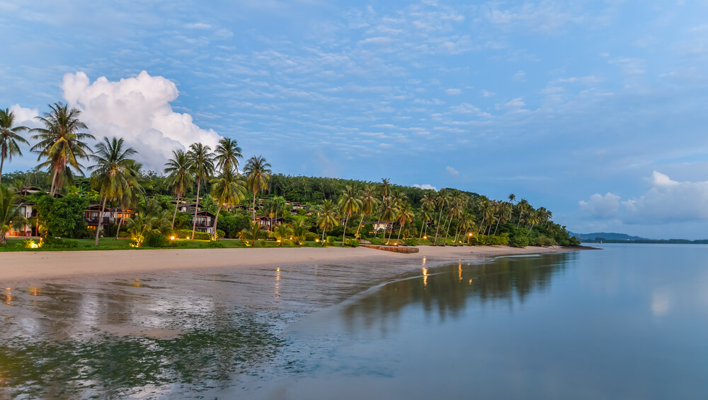 Sonnenaufgang am Palmenstrand auf Coconut Island