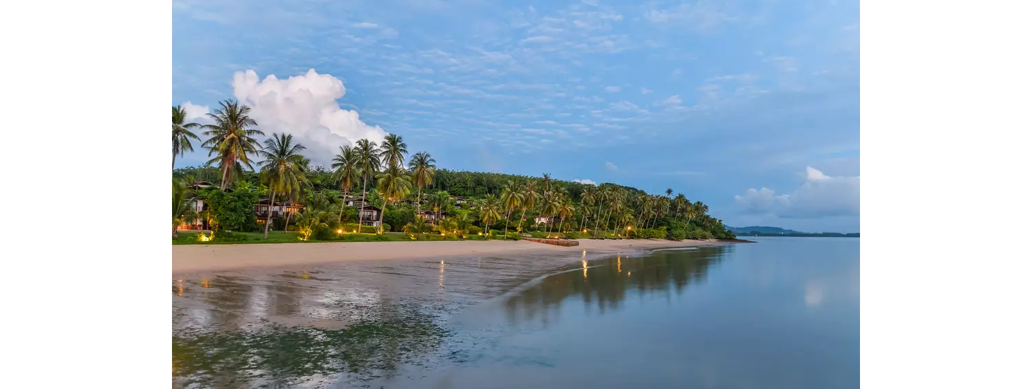 Sonnenaufgang am Palmenstrand auf Coconut Island