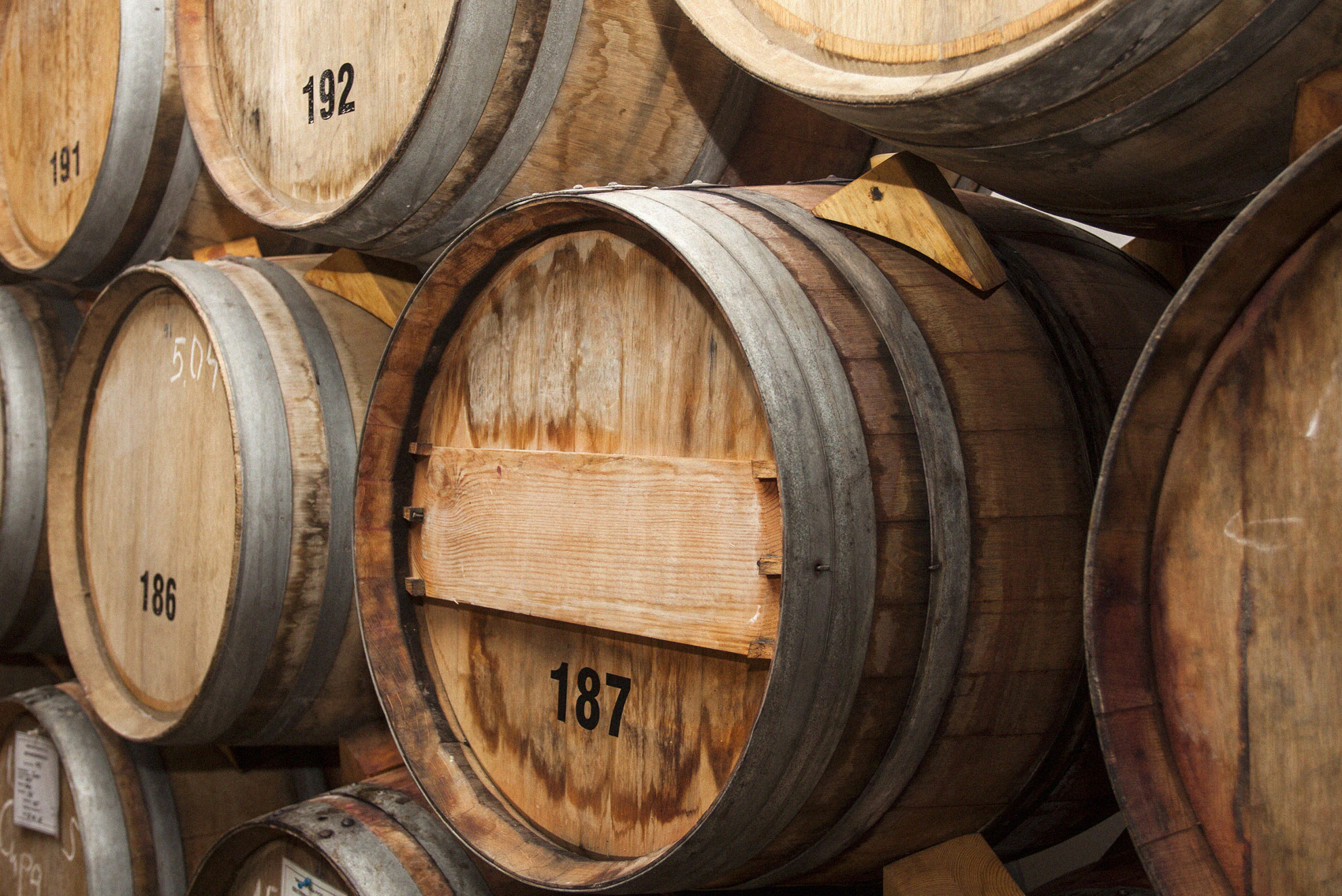 pin-and-travel-ron-santo-domingo2x-1