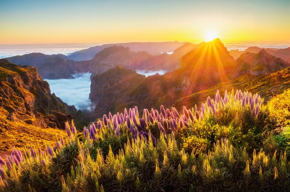 Places to visit in Madeira: A sunkissed view of mountains covered in a blanket of cloud