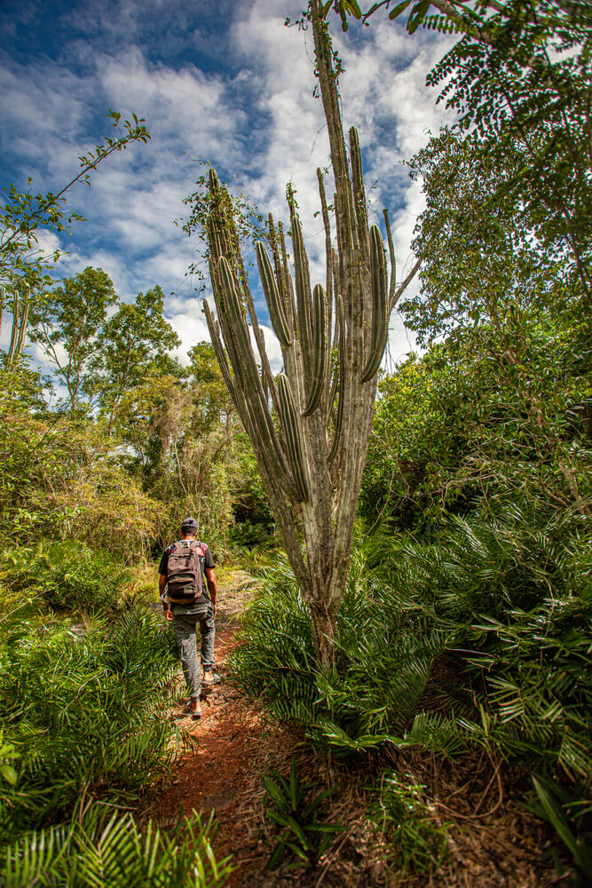 viajar a punta cana en diciembre 