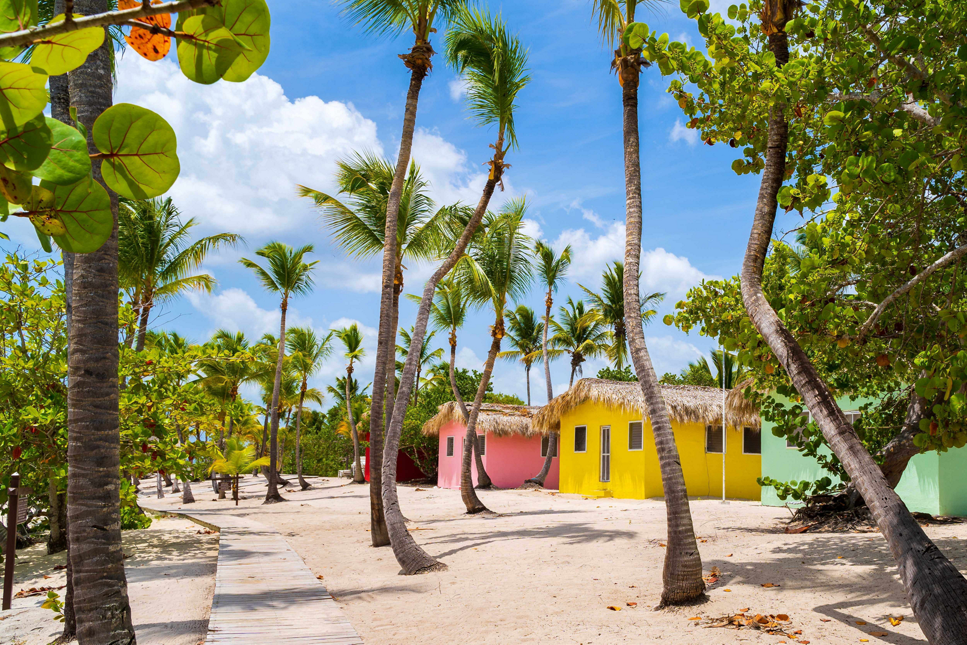 Punta Cana excursions: White beach with palm trees and huts