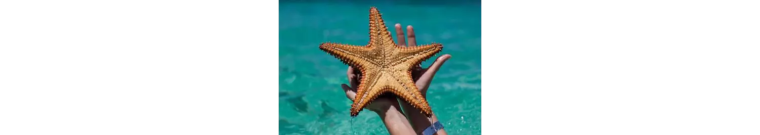 Islas de Punta Cana