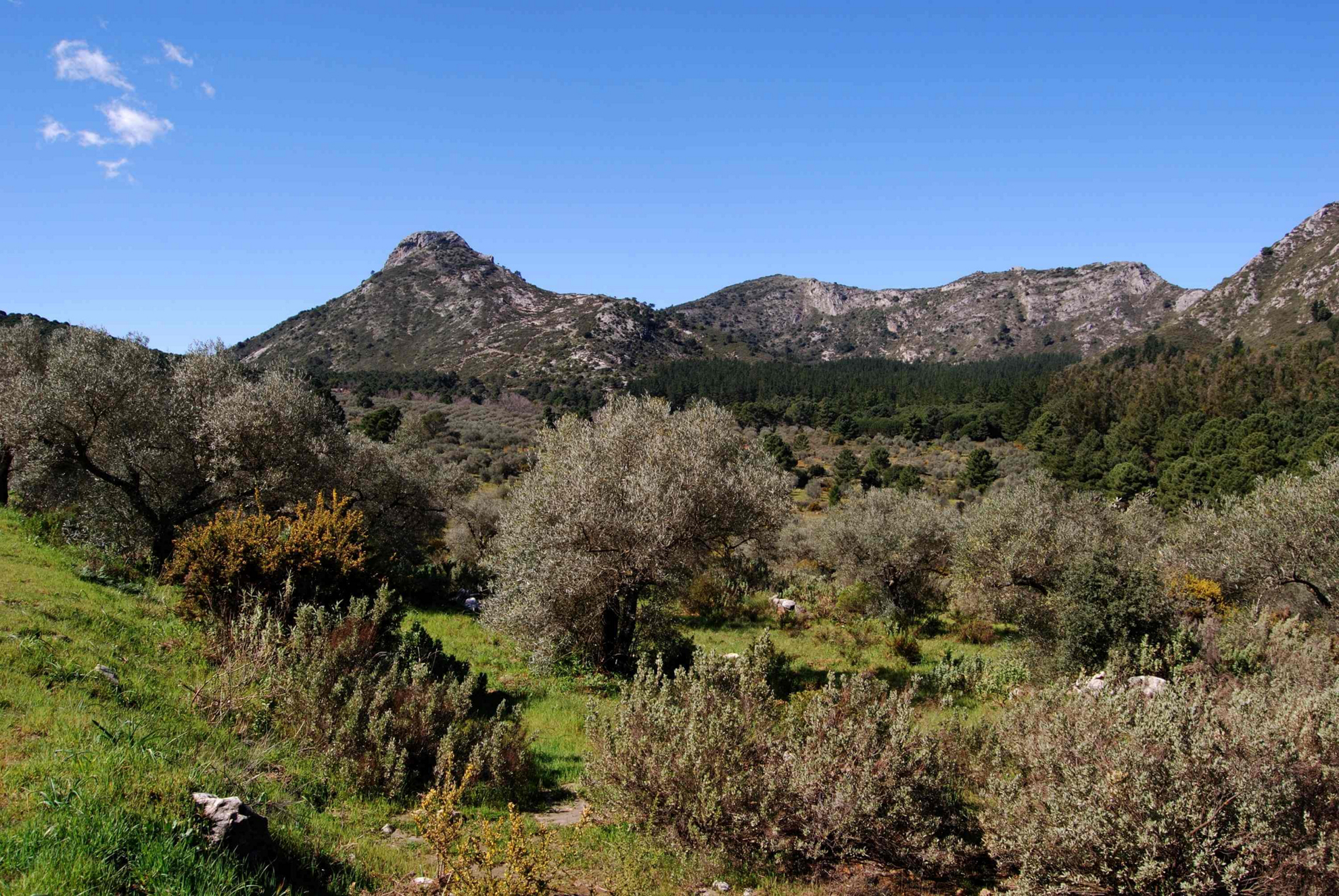 que hacer en marbella El Juanar