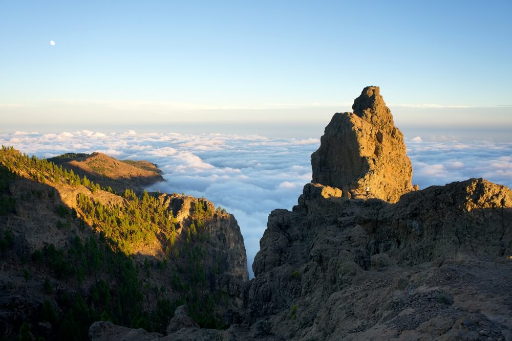 que hacer en gran canaria con niños