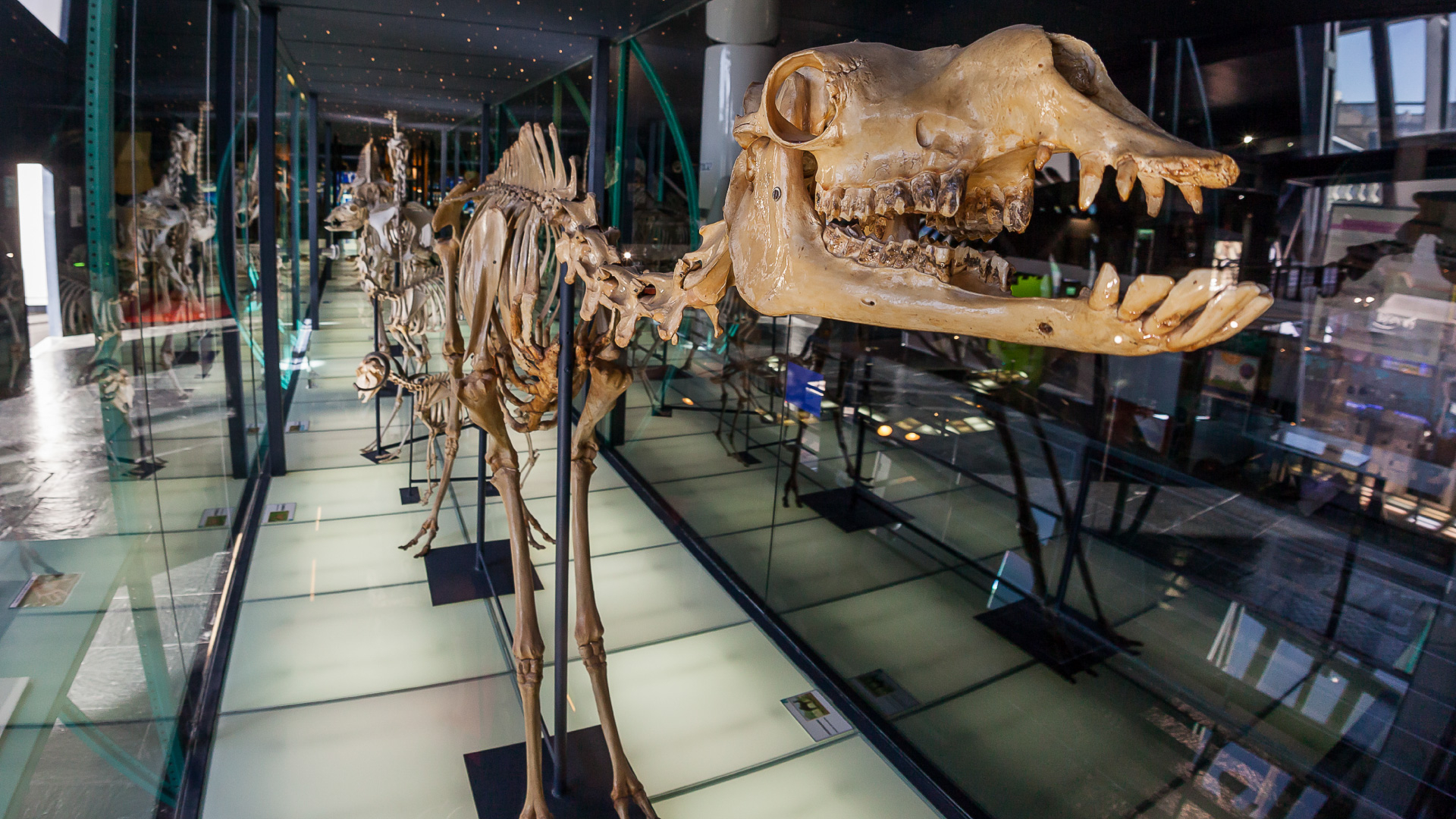 que hacer en gran canaria con niños