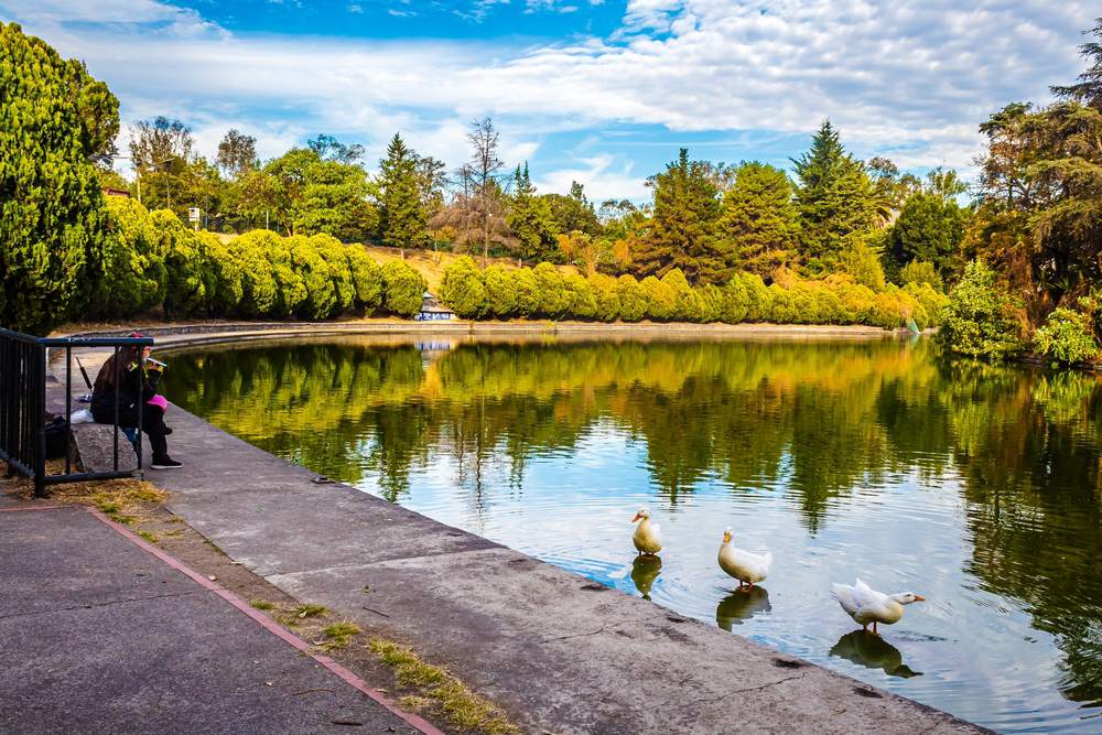 que visitar en ciudad de mexico