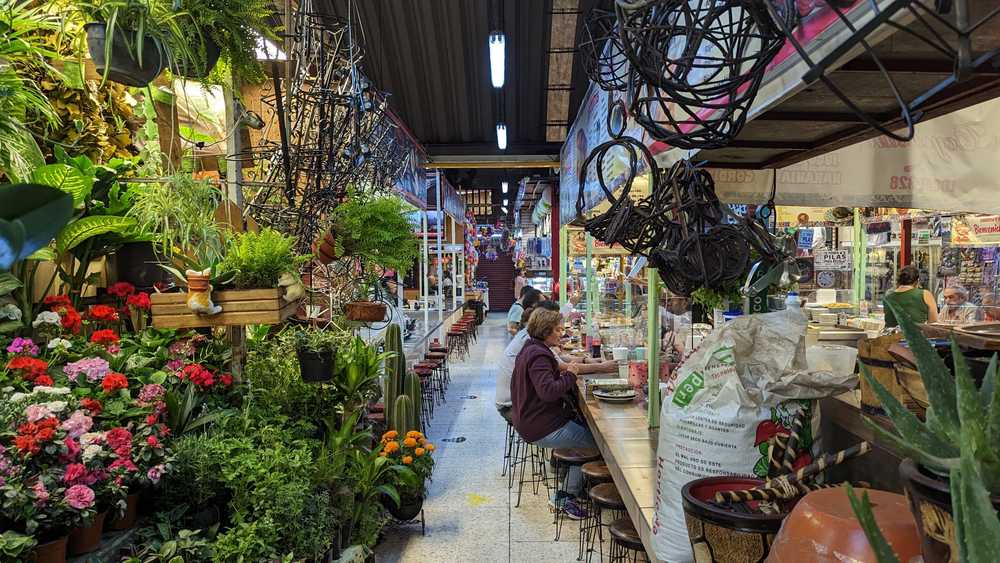 ciudad de mexico que ver 